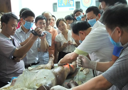 学员在上解剖课